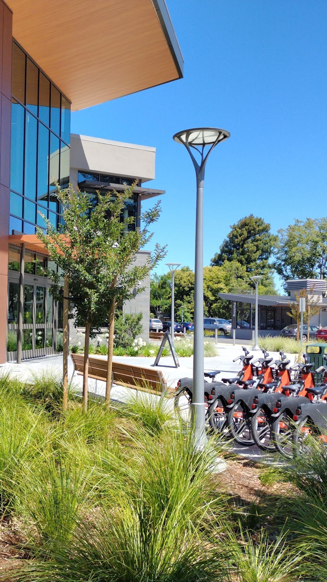 A row of bicycles are parked in front of a building.